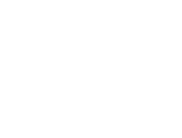 Focus adults social work 